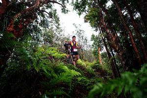 BIB: 
                            <button type="button" onclick="openModal(26204021)" class="btn btn-primary btn-sm float-right btn-popup" data-toggle="modal" data-target=".modal-high-quality">
                        <i class="fas fa-shopping-cart"></i> Add to Cart
                    </button>
                                            <button type="button" onclick="isThisMe(26204021, true)" class="btn btn-success btn-sm float-right btn-popup btn-isme hidden" data-toggle="tooltip" data-placement="bottom" title="นี่คือรูปของคุณใช่ไหม คลิกที่นี่เพื่อเอาเข้าอัลบั้ม">
                        <i class="fas fa-plus"></i> Add to album
                    </button>
                    <button type="button" onclick="isThisMe(26204021, false)" class="btn btn-warning btn-sm float-right btn-popup btn-isnotme hidden">
                        <i class="fas fa-ban"></i> Remove from album
                    </button>